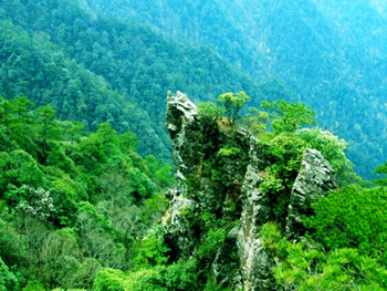 箬寮原始林景区